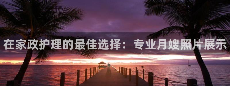 杏悦平台招商电话号码