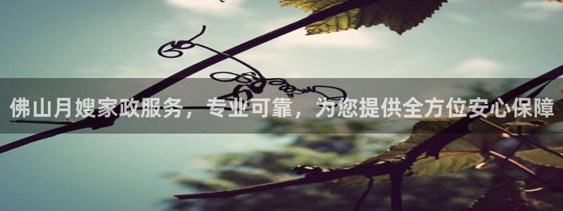 杏悦平台代理怎么样