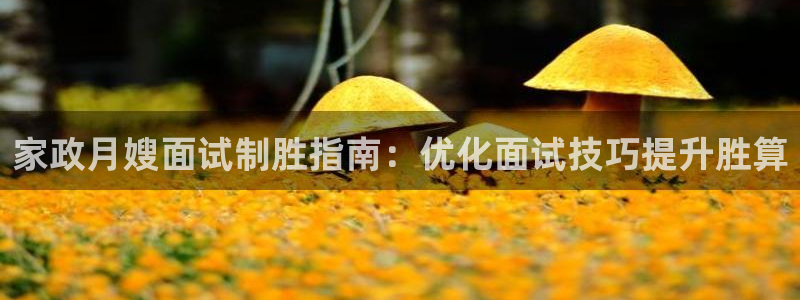 杏悦平台代理怎么样赚钱