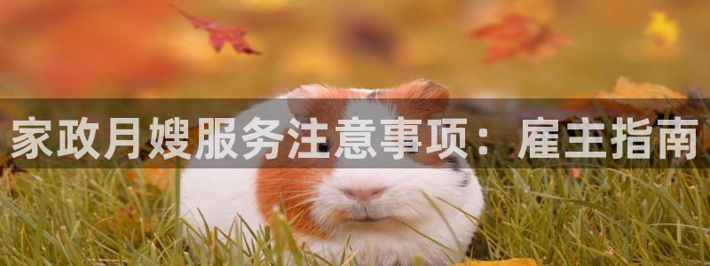 杏悦是什么