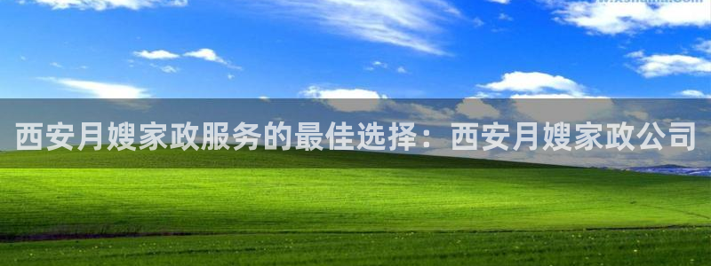 杏悦主管