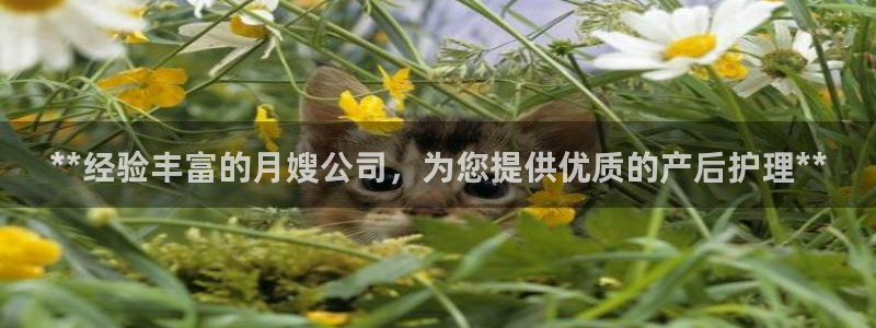 杏悦平台代理注册流程