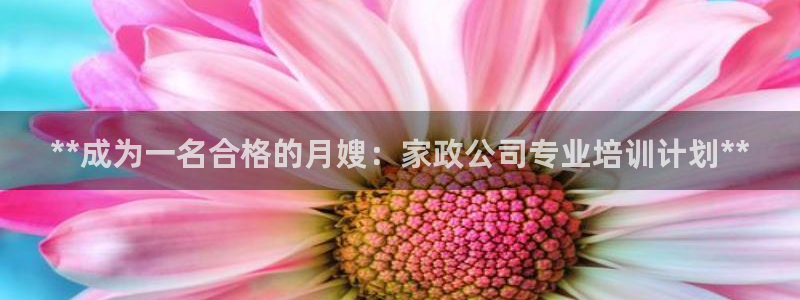 杏悦是什么