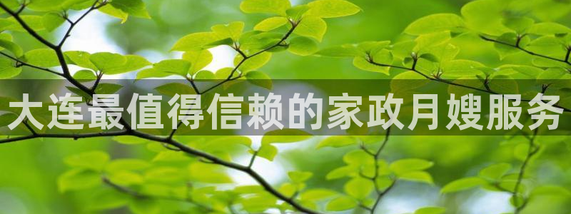 杏悦平台如何