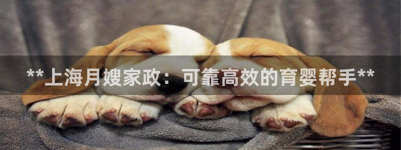 杏悦平台代理注册流程