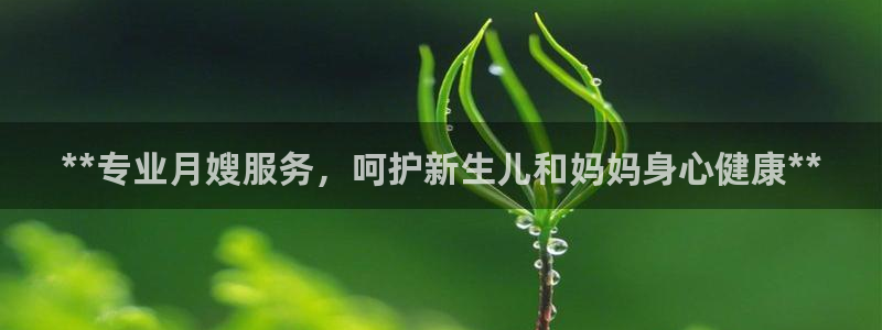 杏悦平台代理注册流程