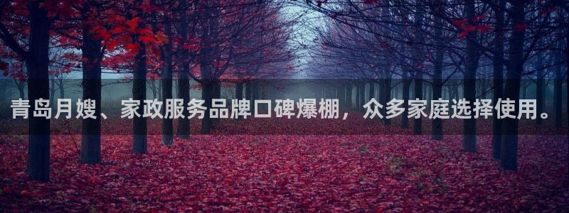 杏悦登录网址是什么