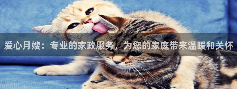 杏悦官网注册信息在哪里查看