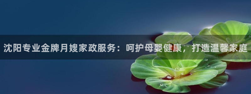 杏悦平台代理怎么样啊