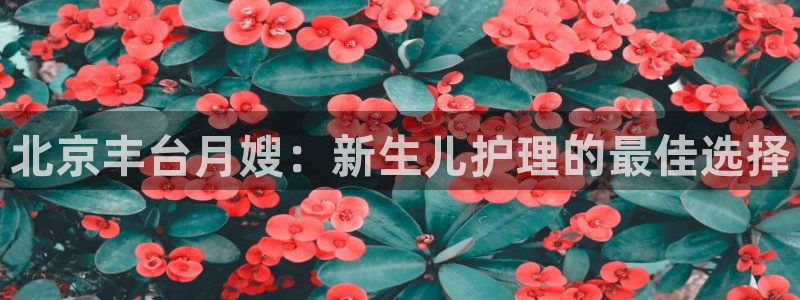 杏悦招商地址