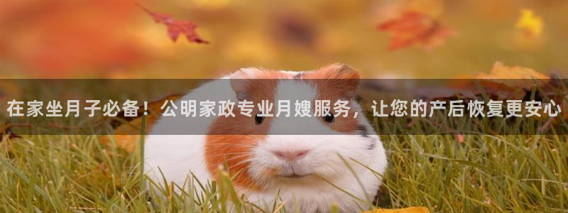 杏悦娱乐怎么玩