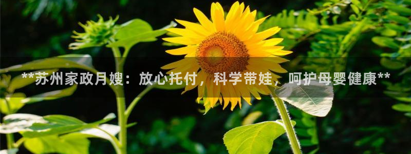 杏悦平台可靠吗