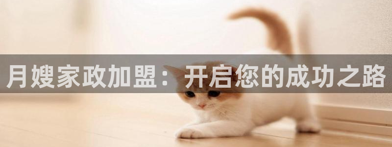 杏悦平台代理怎么做的