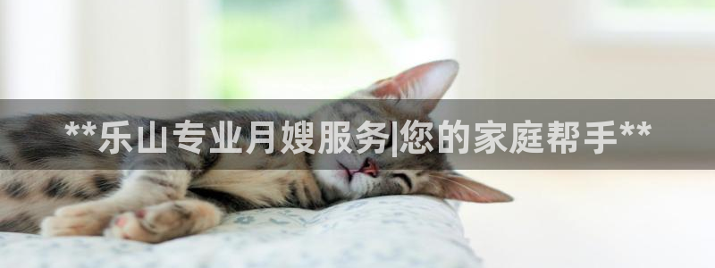 杏悦平台地址