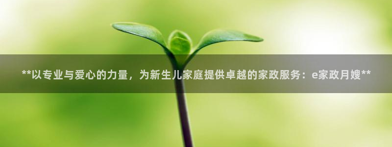 杏悦娱乐怎么玩