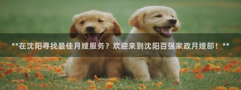 杏悦平台代理多少钱