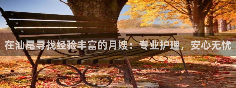 杏悦招商地址