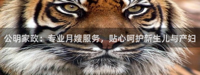 杏悦平台代理怎么样赚钱