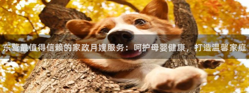 杏悦招商地址