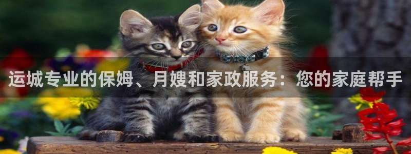 杏悦平台代理多少钱