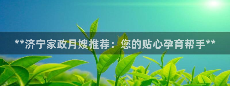 杏悦平台代理怎么赚钱快