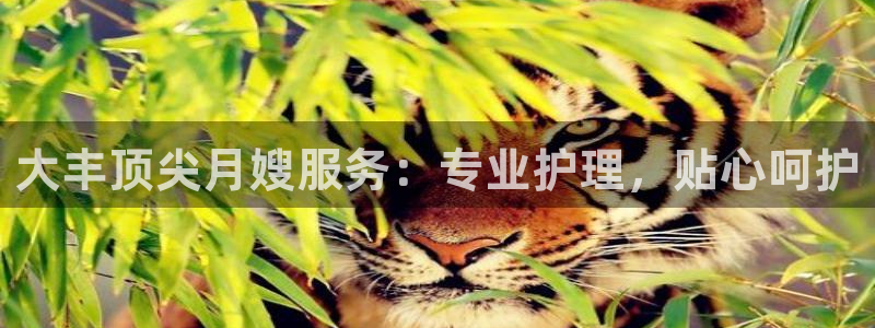 杏悦平台可靠吗可信吗是真的吗