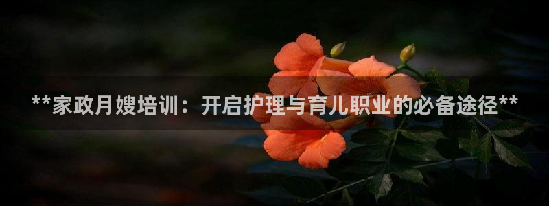 杏悦官方平台官网下载
