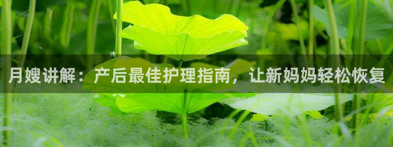 杏悦平台可靠吗可信吗是真的吗