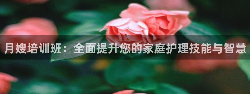 杏悦招商地址