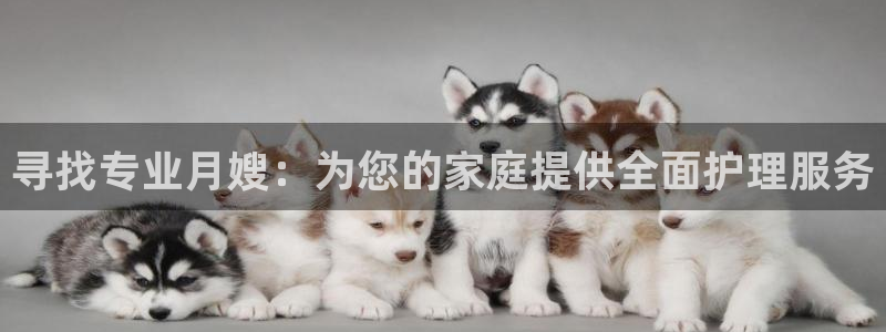 杏悦平台可靠吗可信吗安全吗