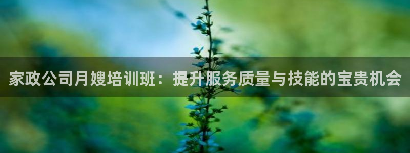 杏悦平台代理怎么赚钱