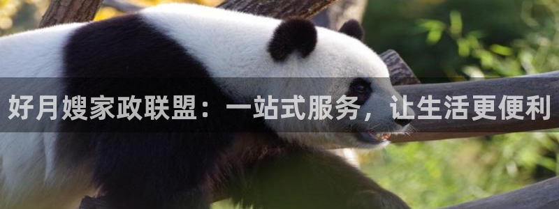杏悦平台代理