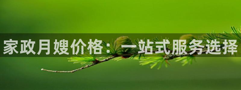 杏悦平台代理怎么做