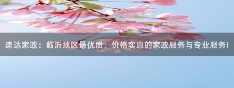 杏悦平台如何