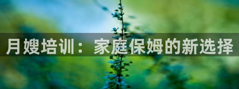 杏悦主管