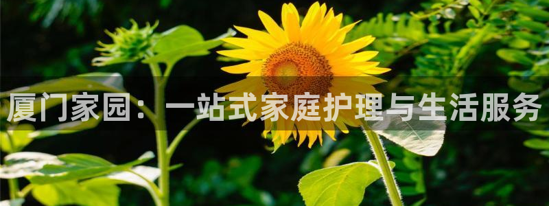 杏悦1招商地址