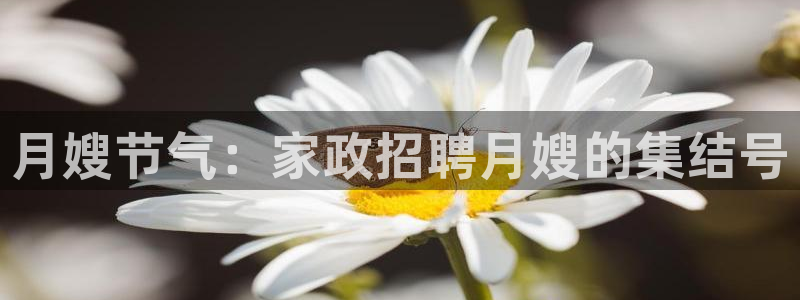 杏悦平台可靠吗可信吗安全吗