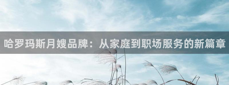 杏悦平台代理多少钱