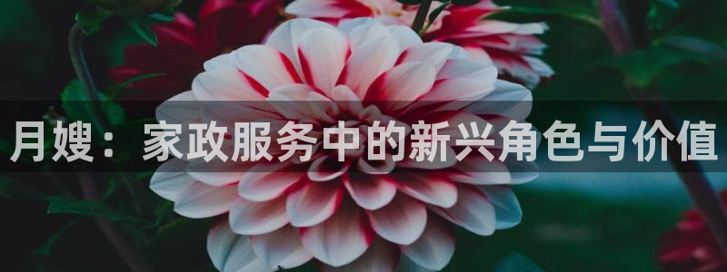 杏悦官方平台是正品吗安全吗