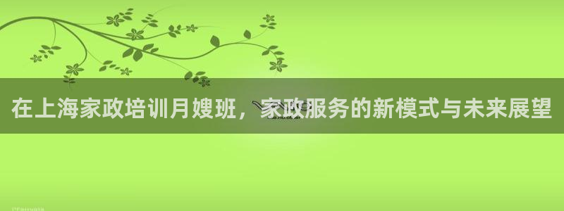 杏悦平台代理怎么赚钱的