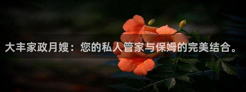 杏悦平台可靠吗可信吗安全吗