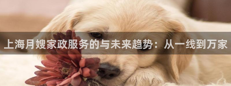 杏悦平台开户地址