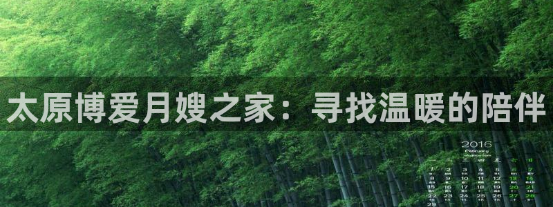 杏悦平台代理怎么做的