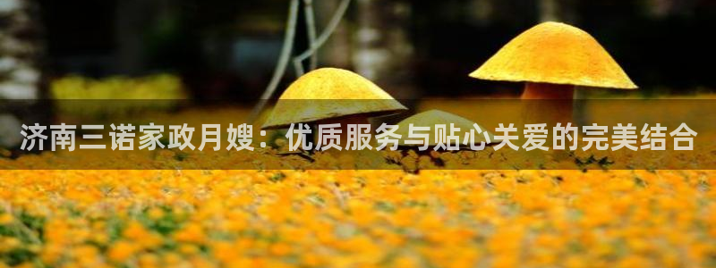 杏悦平台代理怎么做赚钱