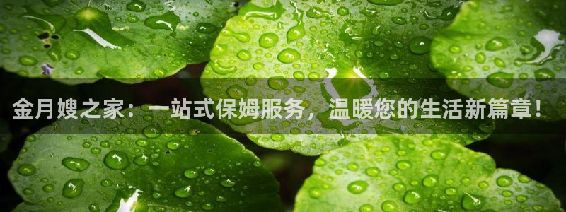 杏悦平台开户地址