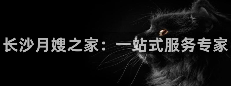 杏悦平台线路测速