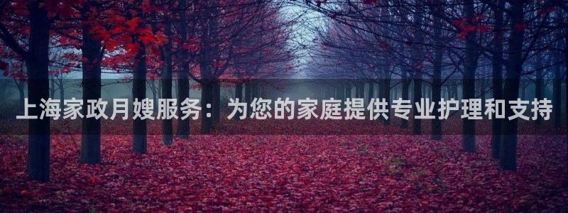 杏悦平台如何注册账号