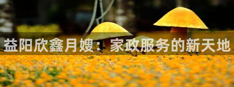 杏悦平台代理怎么样啊