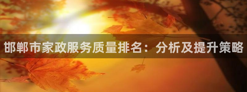 杏悦平台线路测速