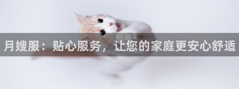 杏悦平台代理注册流程